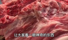 肉肉视频,揭秘美食背后的故事与魅力